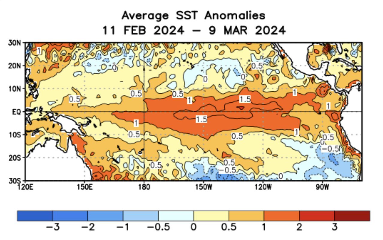 Fig. 1: Anomalie de température de la surface de l'océan Pacifique Equatorial sur ce dernier mois; Source: NOAA