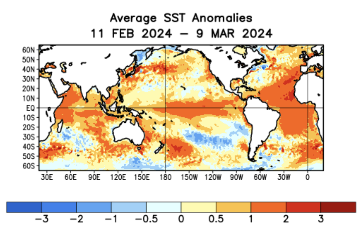 Fig. 2: Anomalie de température de la surface des océans sur ce dernier mois; Source: NOAA
